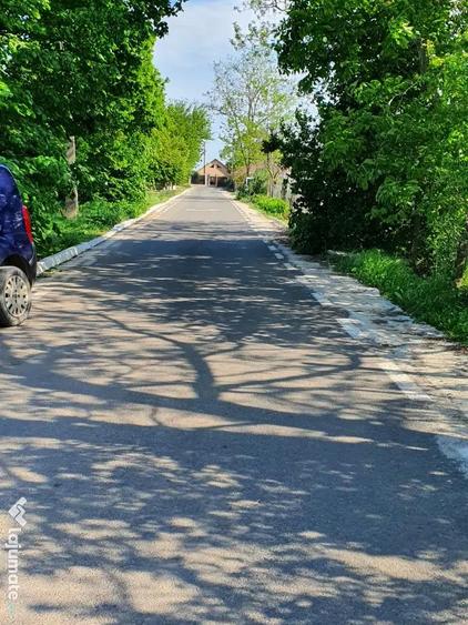 Teren 1000 mp, Oituz (Constan?a) - 3