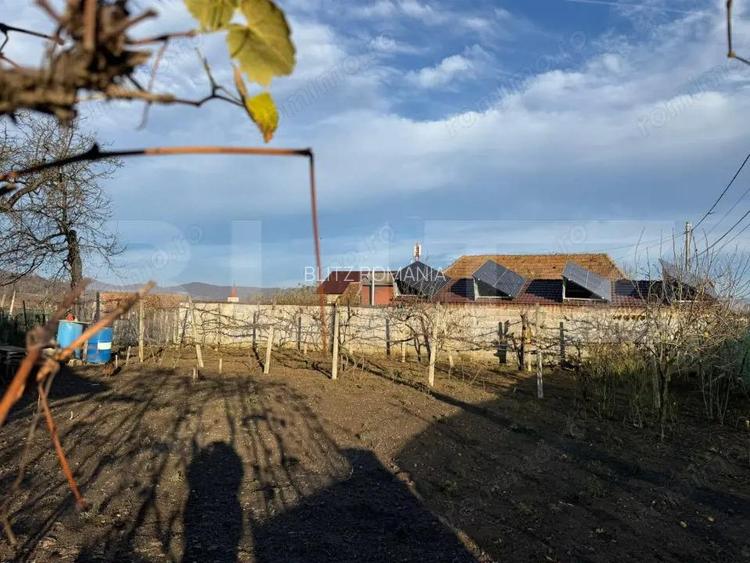 Casa Individuala cu Teren Generos