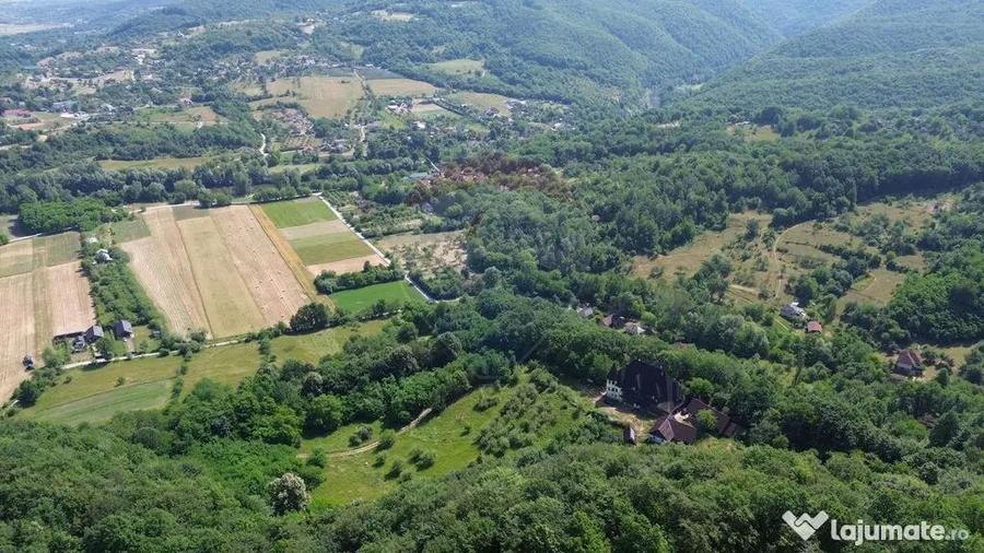Castel de Vanzare IN MARAMURES - 10