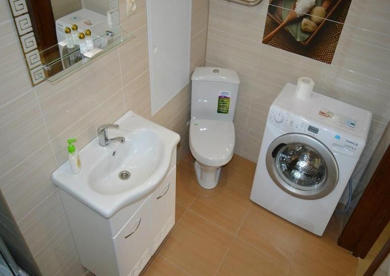 Apartament o camera de inchiriat in zona Someseni-Selgros - 2