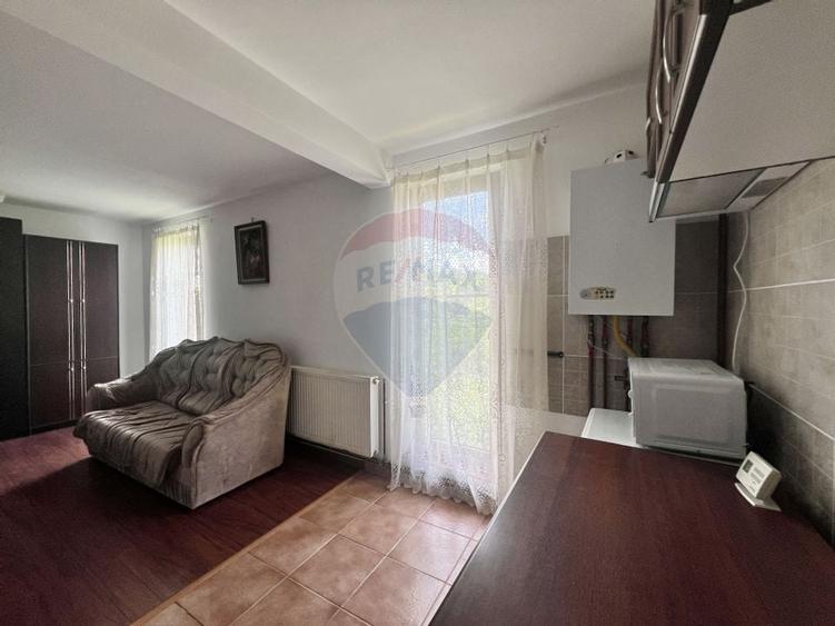 Casa cu potential intr-un cadru natural de exceptie - Mares, Albota - 21