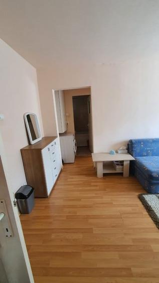 Apartament cu 2 camere semidecomandat, mobilat în Mănăștur