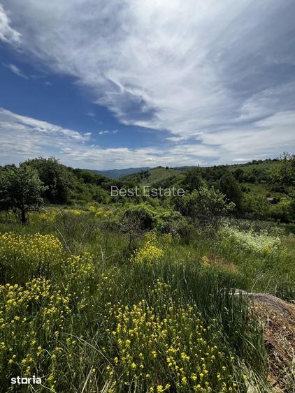 Teren intravilan, 1700 mp, Dangau