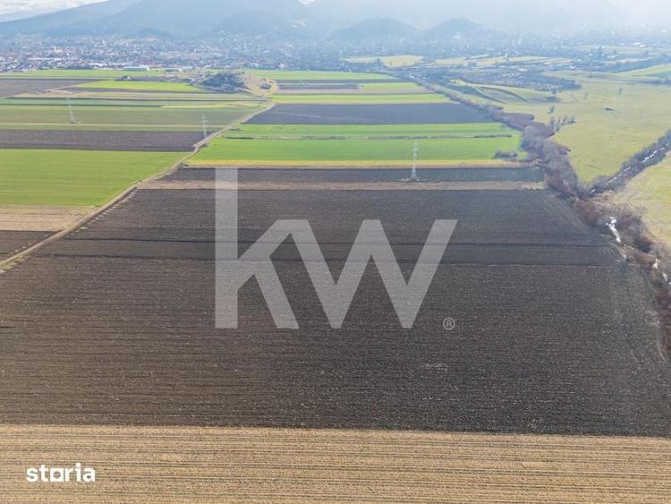 Teren de 3500 mp, în Central
