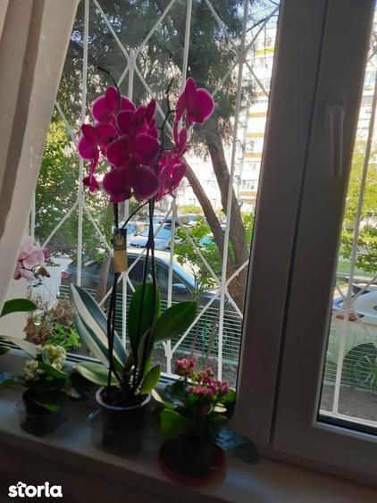 Apartament cu 4 camere, mobilat în Berceni