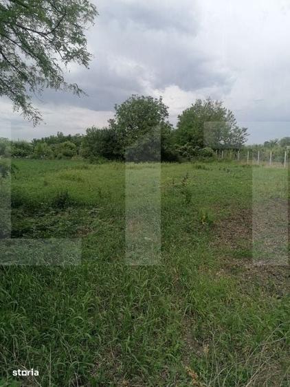 Casă cu 3 camere cu Teren 1724 Mp în Central