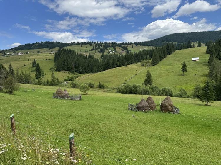 Teren de vanzare la munte in Bucovina - 4