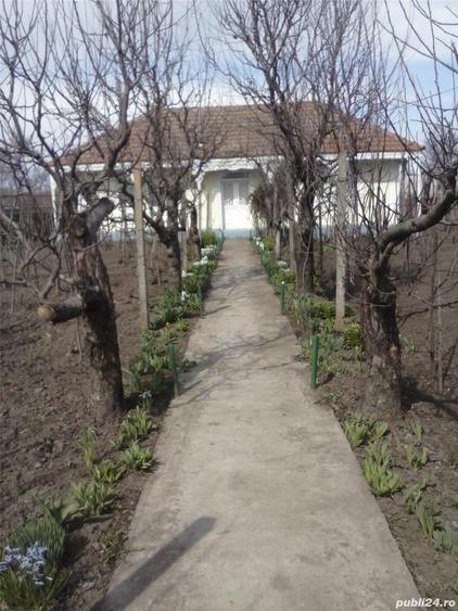 vand casa Sat Nou Berezeni - 3