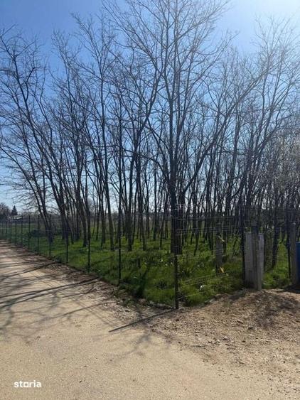 Vand teren intravilan Gruiu-Lipia - 3