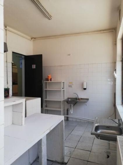 Parcul Carol activitati comerciale horeca servicii showroom - 7