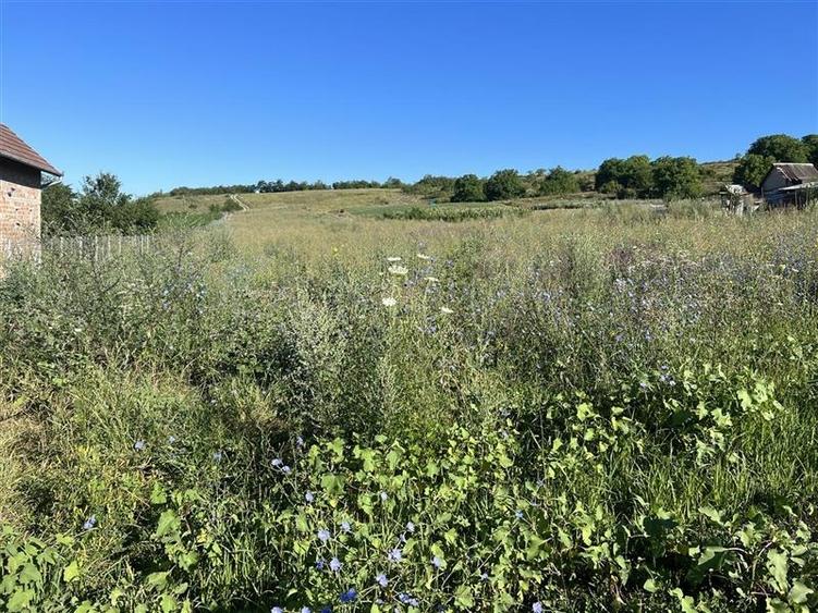 Teren pentru case, duplex,  zona frumoasa cu panorama sat Pata - 1