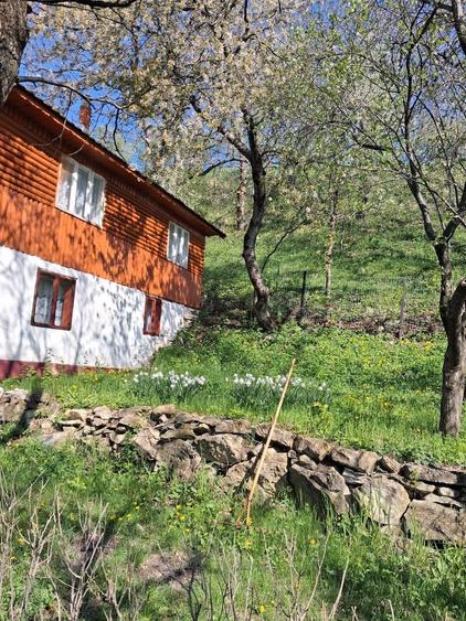 Casa de vanzare - 4