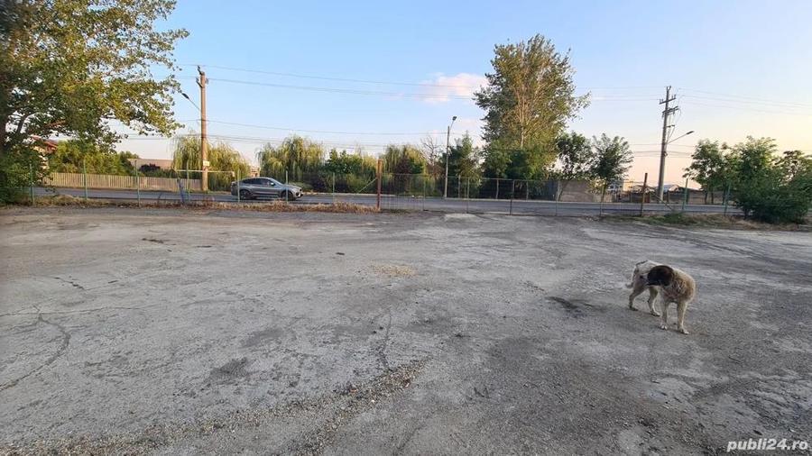 Teren de inchiriat - 9