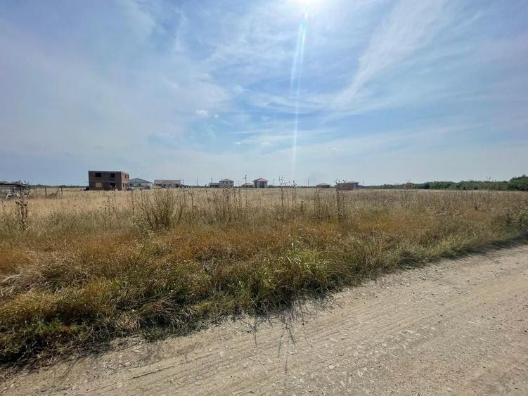 Teren Remetea Mare 720mp -2 fronturi I - 7