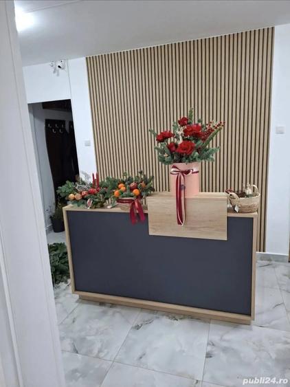 Spa?iu cu Vad, Cire?ica - 1