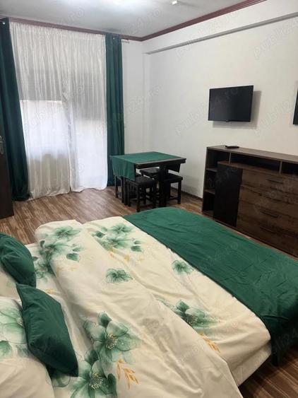 Apartament cu 1 camera DE INCHIRIAT Jimbolia, Timi? - 6