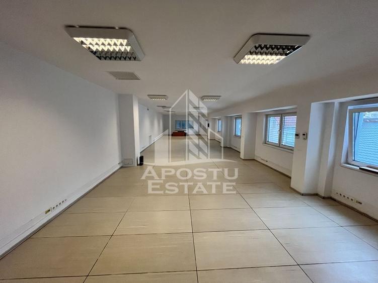 Imobil de vanzare P+M, 173 mp utili,  Elisabetin. - 19