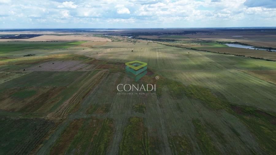 Teren agricol intravilan de 154000 mp, în Bulbucata