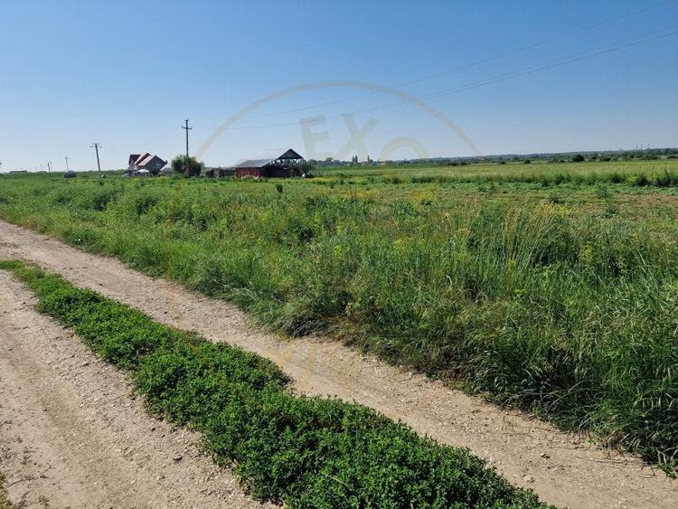 TEREN STEFANESTI! - 2