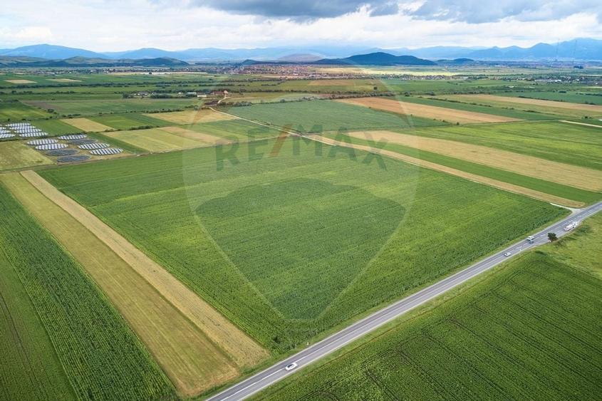 DE VÂNZARE| Teren industrial 59,600mp Feldioara / DN 13 0% COMISION! - 1