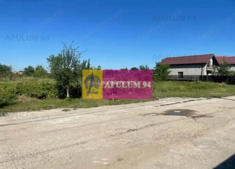 Teren Clinceni- Putu Olteni- Ortansei.