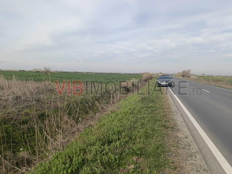 Săcălaz – Beregsău | Teren extravilan 1 ha | Potențial dezvoltare - 2