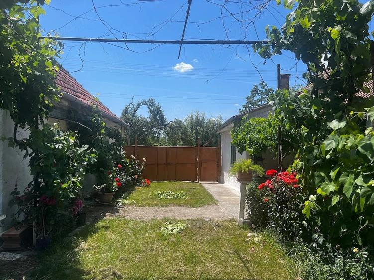 Casa de vanzare cu 2 parcele Jamu Mare (70 km de Timi?oara) - 1