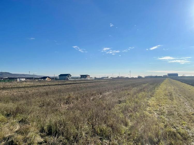 Teren agricol extravilan de 5000 mp, în Calea București