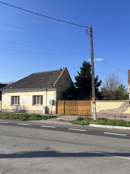 Casa individuala in Sag cu teren 1940mp - pozitie centrala - 4