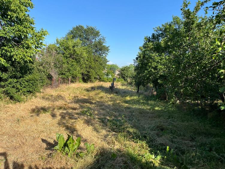 Casa de vanzare Alexandria 800 m2, str. Doctor Stanca Nr. 100 - 3