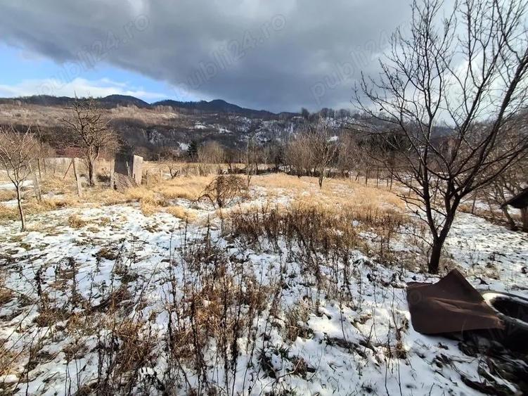 Casa traditionala Munte - 8