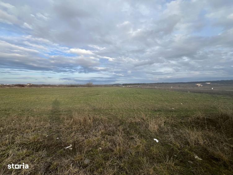 Oportunitate, 9196 mp, 30 euro/mp, 187,78 m deschidere la inelul metro - 4