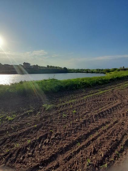 Teren intravilan Belciugatele 1250 mp - 3