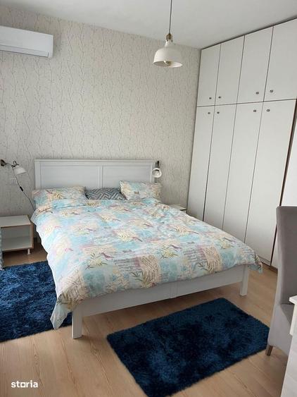 Ofer spreinchiriere - 13