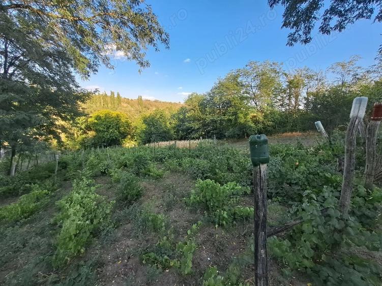 Casa batraneasca Baneasa jud. Gala?i - 1