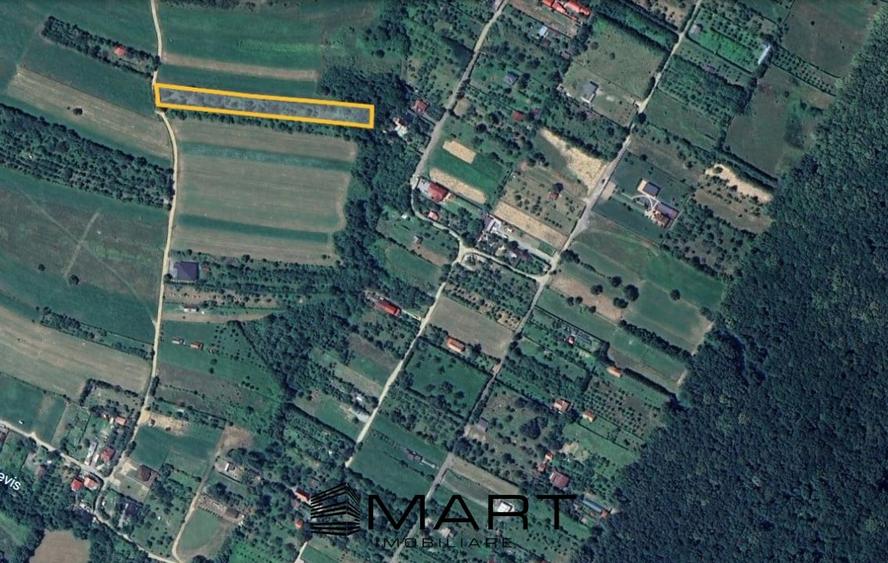 Teren extravilan 3200mp zona Tropinii Vechi - 3