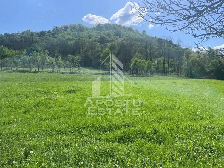 Teren intravilan, partial imprejmuit, eligibil grant- Pojoga, com. Zam - 11