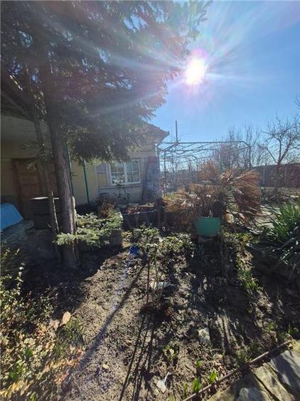 OPORTUNITATE INVESTITIE CIARDA ROSIE- CASA INDIVIDUALA  - TEREN GENEROS 1500MP - 8