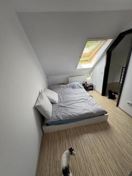 Apartament cu 3 camere semidecomandat, mobilat în Mănăștur