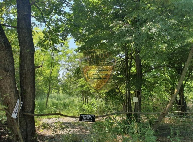 Teren 5526mp, intravilan, Jupiter, 2 deschideri, se acccepta schimb - 5