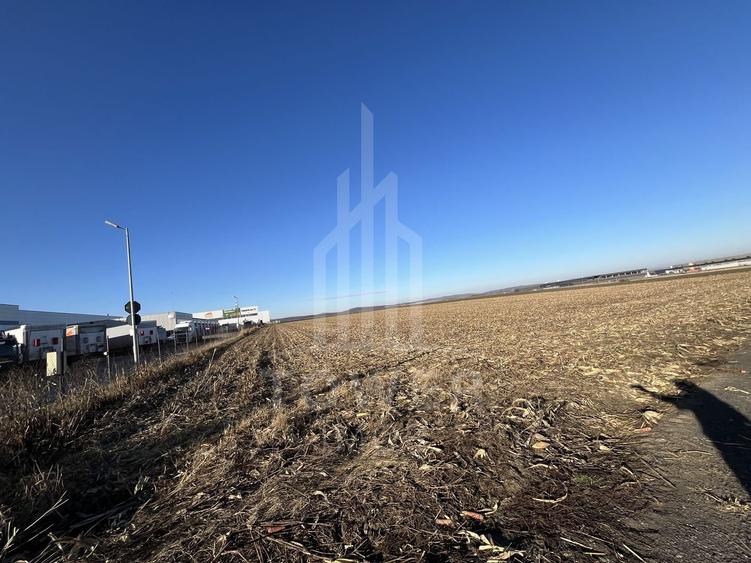 Teren Intravilan | Zona Industriala Vest | 20.663 mp - 4