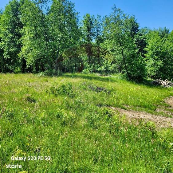 Oaza de lini?te teren de vanzare 6.725 mp - 5