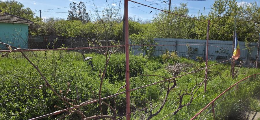 Vand proprietate   - 1