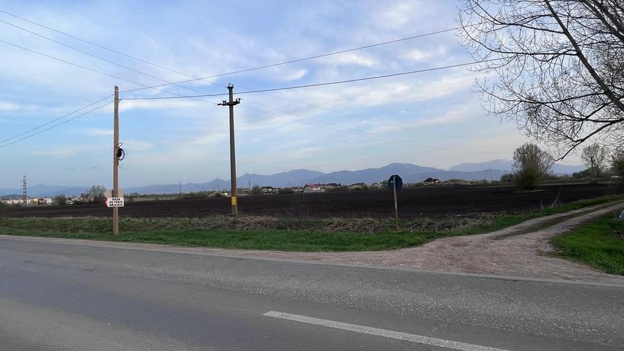 Teren 50000mp Extravilan-Intrare Halchiu-Cod 4486 - 6