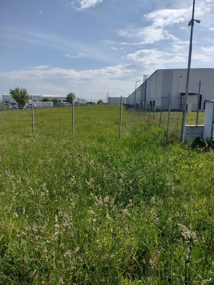 Teren intravilan Strada Narciselor suprafata de 6250mp - 2