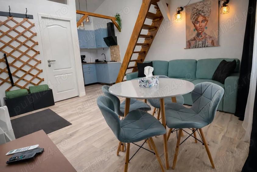 Cabana de vanzare, casa de vacanta sau afacere la cheie - 5