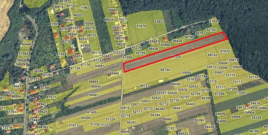 Teren de vanzare-11.900 mp - 1