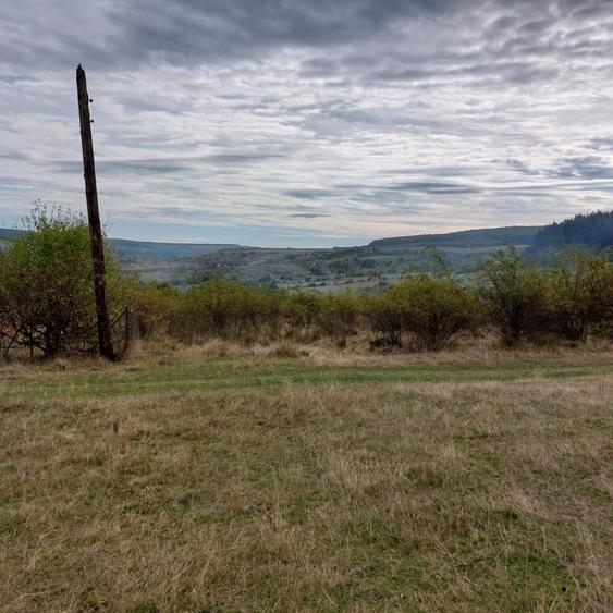 Parcela cu proiect autorizat, 60 euro/mp, Corusu! - 4