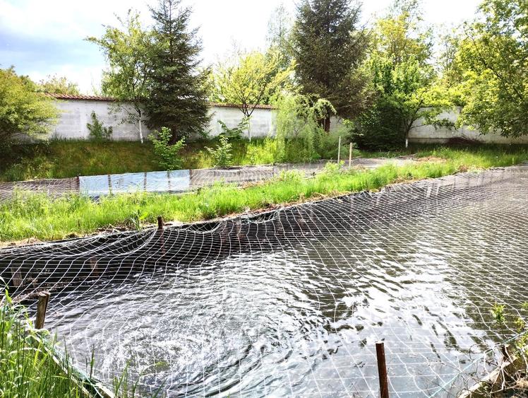 Oportunitate: Teren constructii si pastravarie  in Zona Metropolitana Brasov - 2