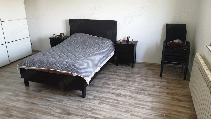 Casa Teghes-Domnesti - 5